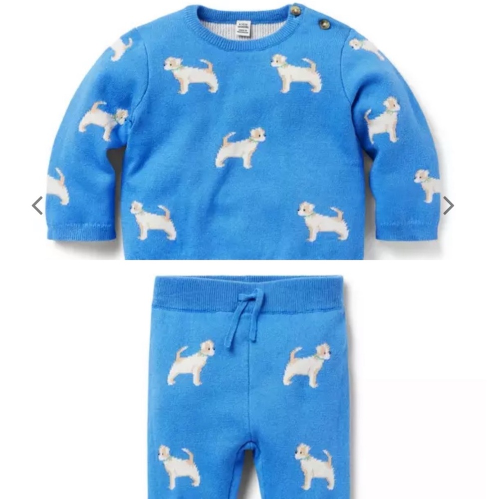 Janie and Jack matching dog sweater set